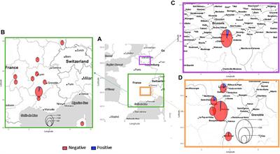 Asymptomatic Anticoagulant Rodenticide Exposure in Dogs and Cats—A French and Belgian Rural and Urban Areas Study